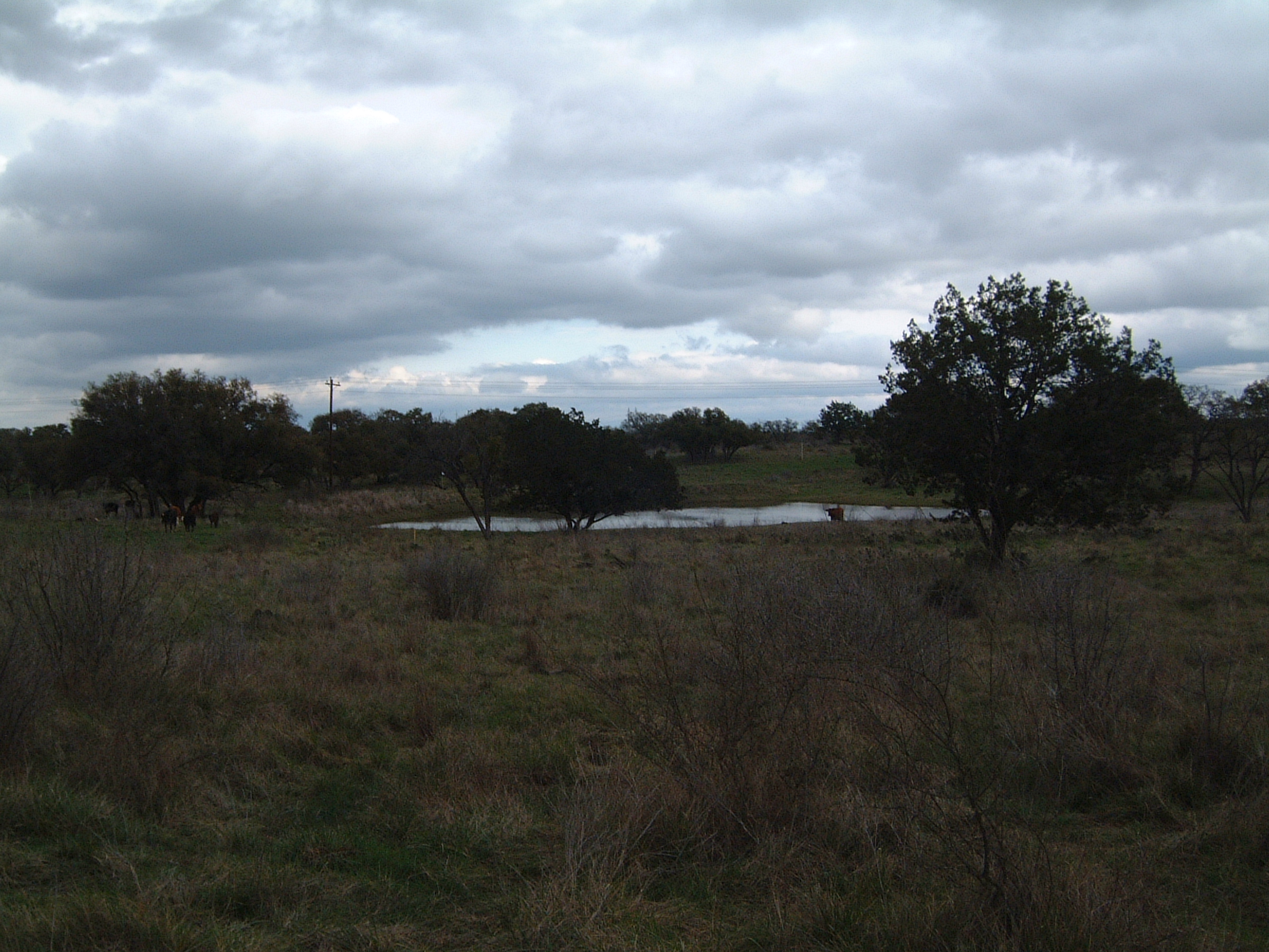 2004-03-14 15-26-57.JPG